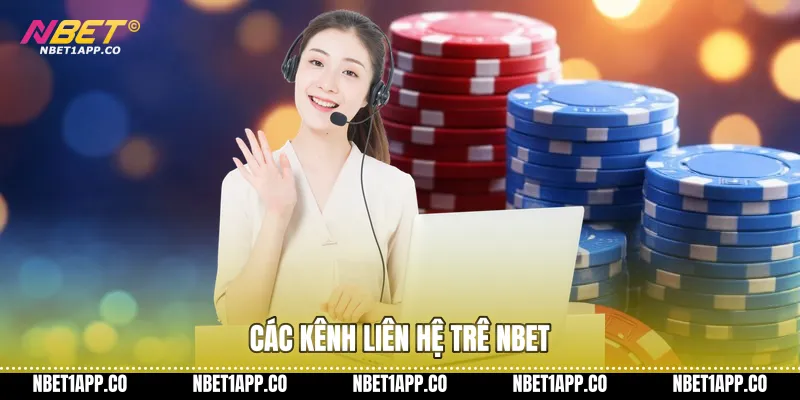 Các kênh liên hệ NBET phổ biến