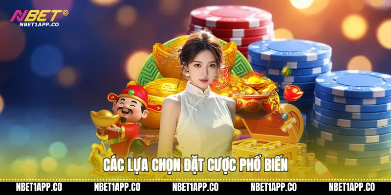 Các lựa chọn đặt cược phổ biến