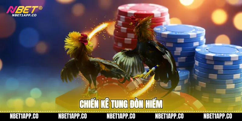 Chiến kê tung đòn hiểm
