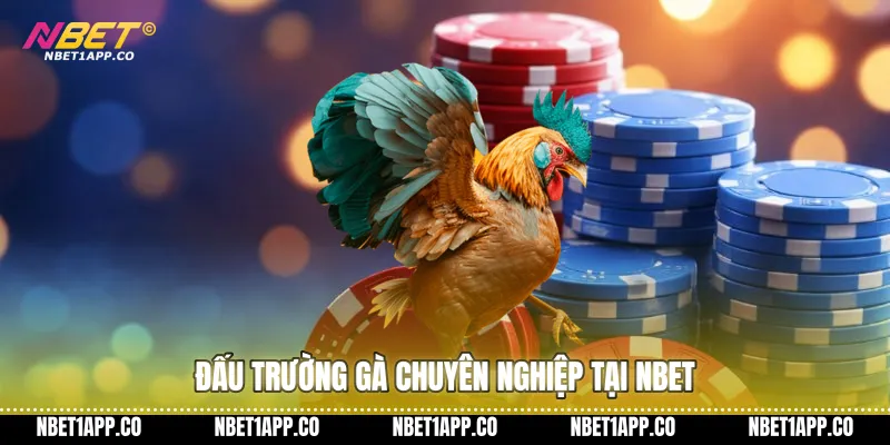 Đấu trường gà chuyên nghiệp tại NBET