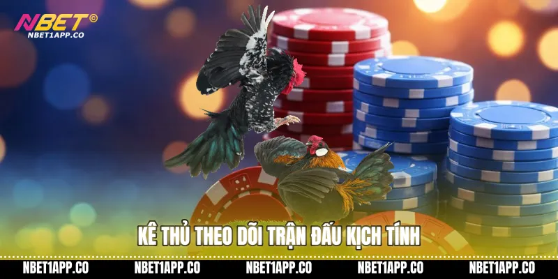 Kê thủ theo dõi trận đấu kịch tính