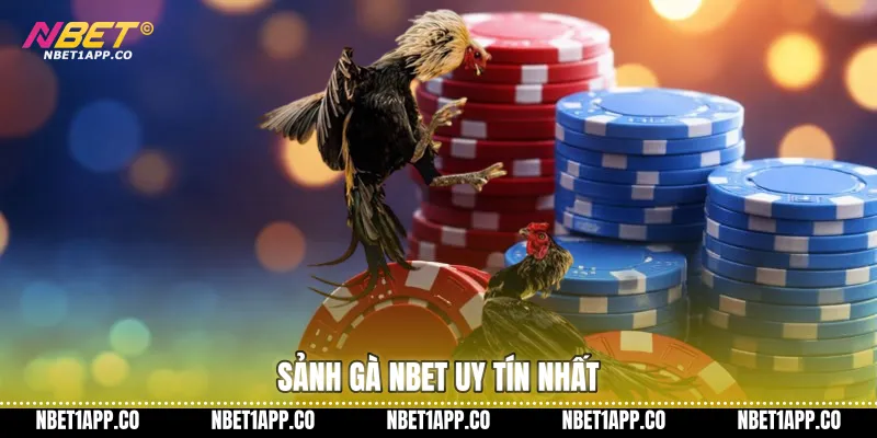 Sảnh gà NBET uy tín nhất